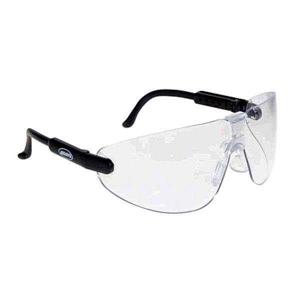 GLASSES,LEXA FIGH BLACK FRAME,CLEAR LENS, 10/BX - Clear Lens